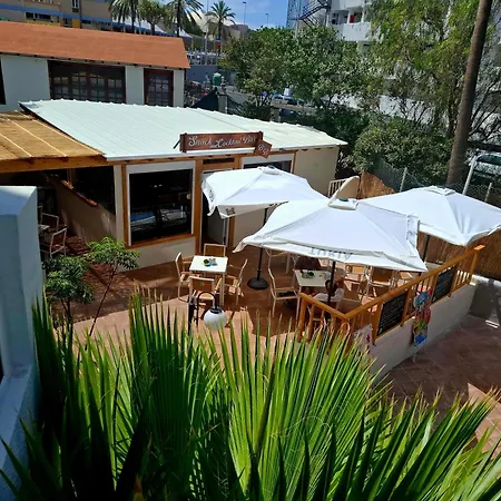 아파트 Under The Palm